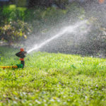 Quand le jardin se met au vert